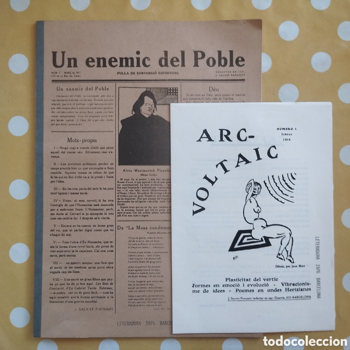 Libros de segunda mano: UN ENEMIC DEL POBLE ARC VOLTAIC JOAN SALVAT-PAPASSEIT FACS&Iacute;MIL LETERADURA 1976