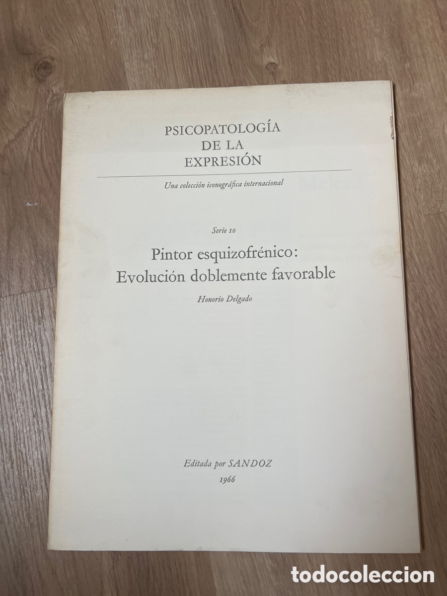 Libros de segunda mano: Psicopatolog&iacute;a de la expresi&oacute;n. Una colecci&oacute;n iconogr&aacute;fica int. Serie 10 pintor esquizofrenico