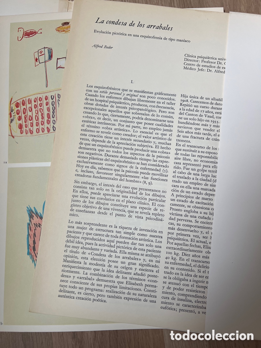 Libros de segunda mano: Psicopatolog&iacute;a de la expresi&oacute;n. Una colecci&oacute;n iconogr&aacute;fica internacional. Vol. 18. La condesa de los