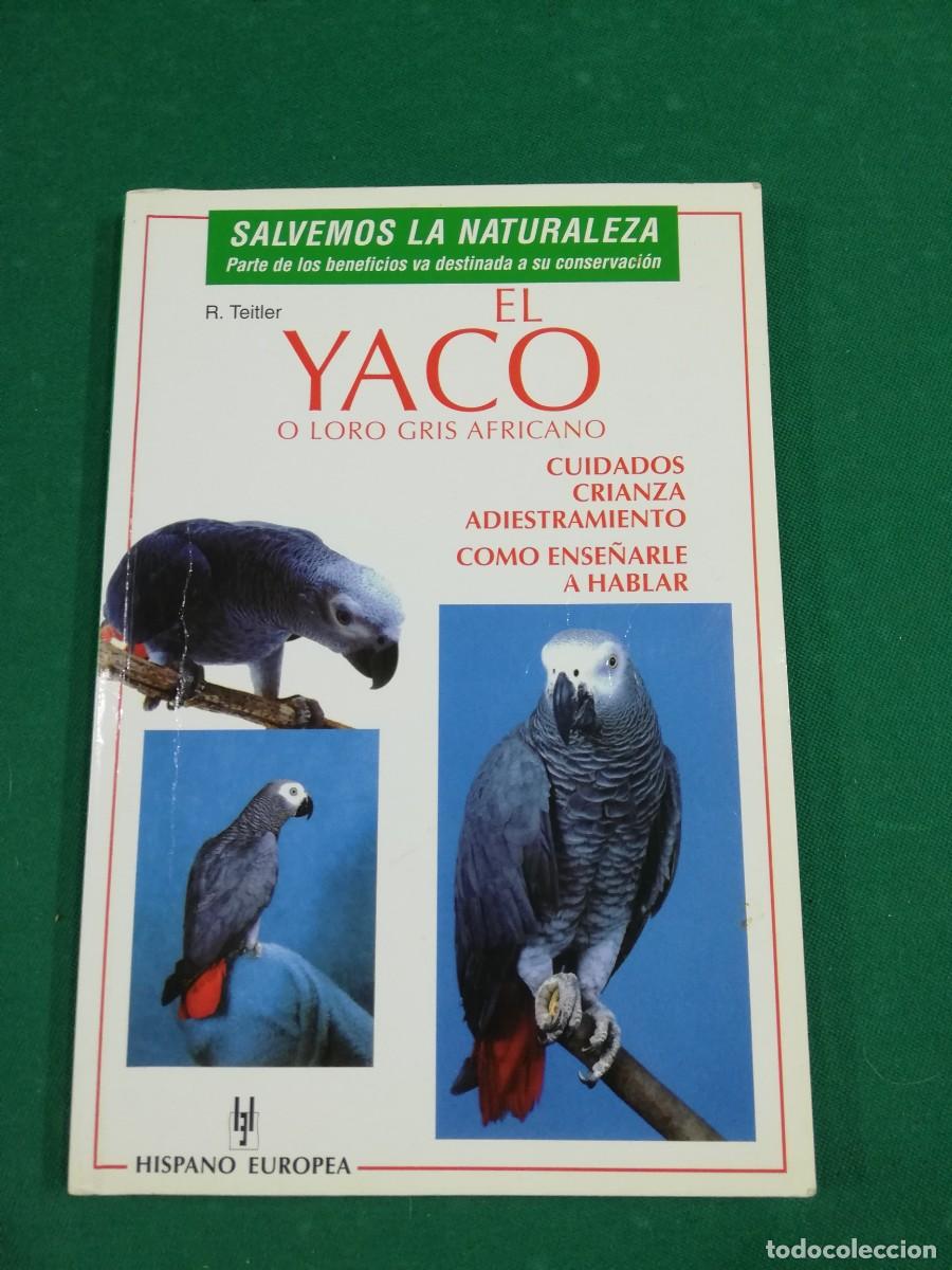 Libros de segunda mano: EL YACO O LORO GRIS AFRICANO (R. TEITLER) EDITORIAL HISPANO EUROPEA