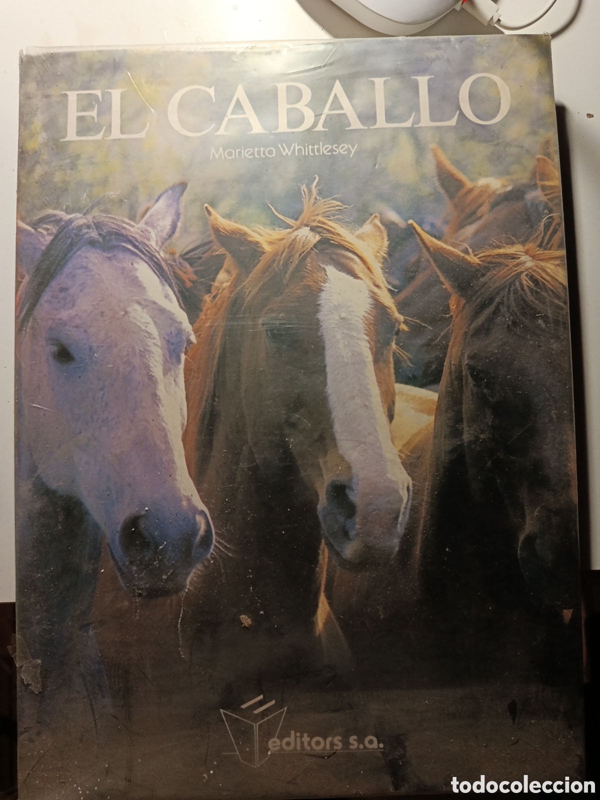 Libros de segunda mano: El Caballo &ndash; Marietta Whittlesey &ndash; Libro ilustrado de caballos &ndash; Editores S.A.