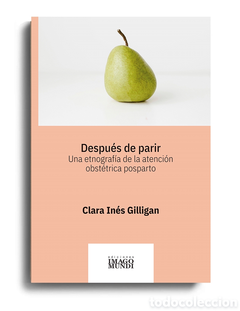 Libros: CLARA IN&Eacute;S GILLIGAN &ndash; DESPU&Eacute;S DE PARIR. UNA ETNOGRAF&Iacute;A DE LA ATENCI&Oacute;N OBST&Eacute;TRICA POSPARTO &ndash; LMD