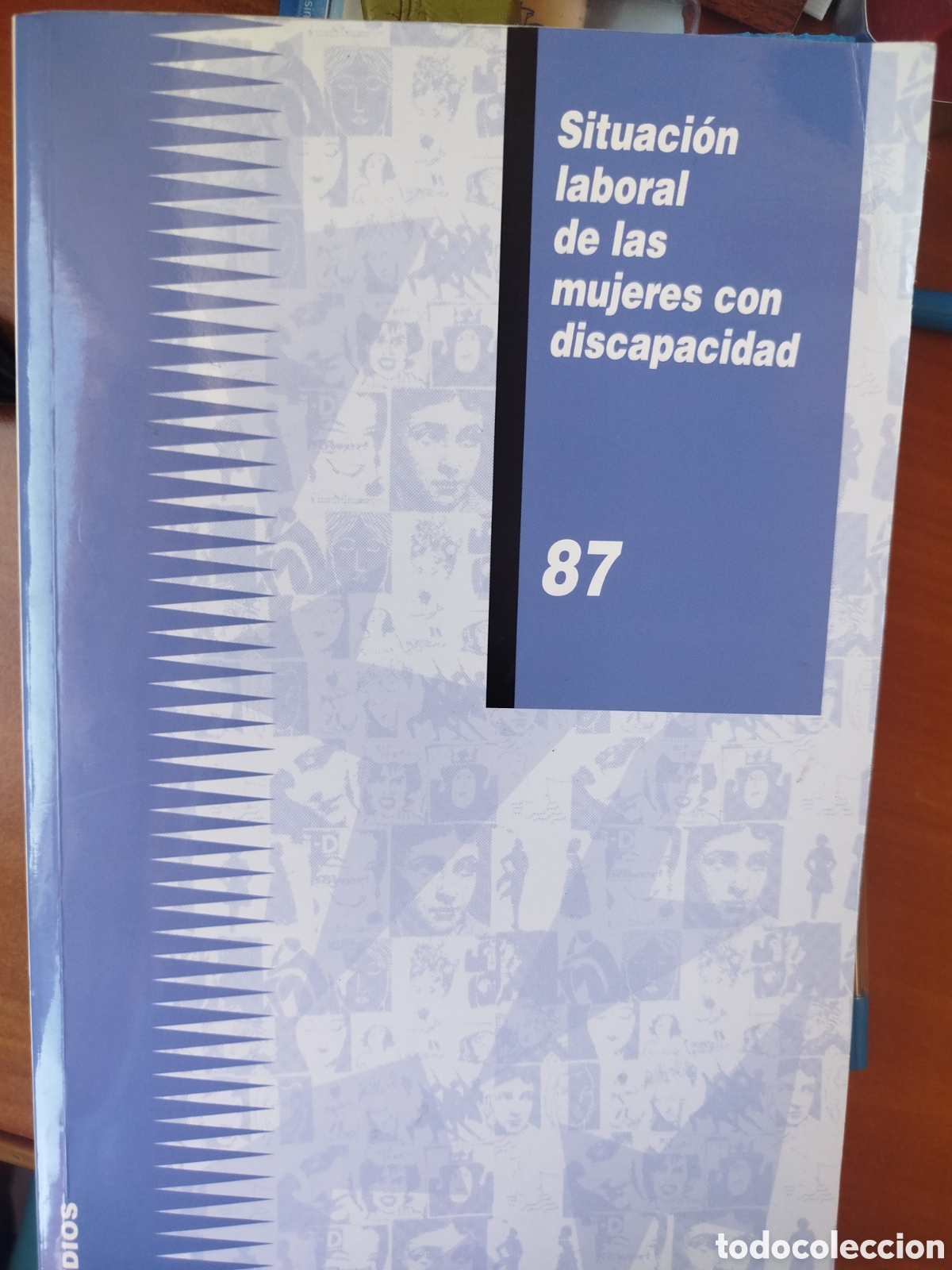 Libros: Situaci&oacute;n Laboral de las Mujeres con Discapacidad