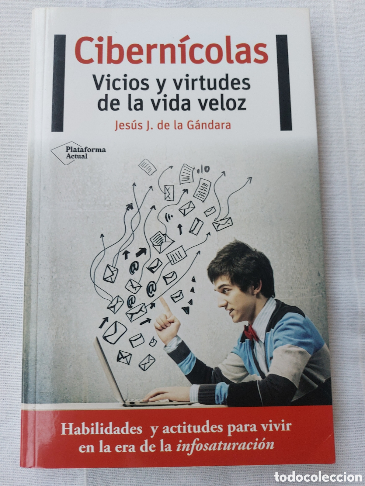 books: Cibern&iacute;colas. Vicios y virtudes
