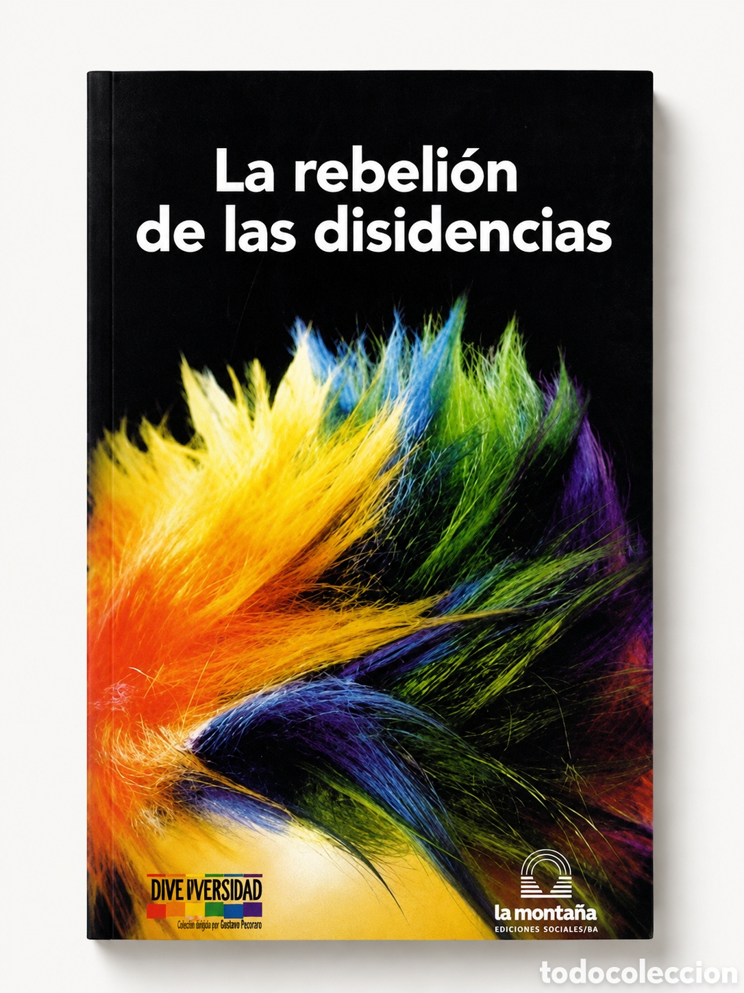 Libros: PABLO VASCO / ELABORACI&Oacute;N COLECTIVA &ndash; LA REBELI&Oacute;N DE LAS DISIDENCIAS &ndash; LMD
