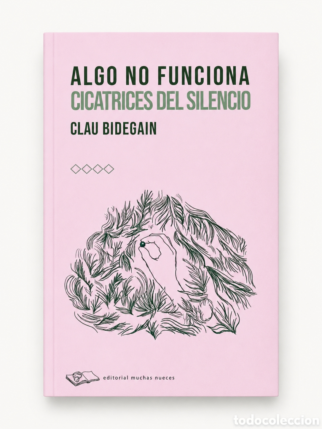 Libros: CLAU BIDEGAIN &ndash; ALGO NO FUNCIONA. CICATRICES DEL SILENCIO &ndash; EDITORIAL MUCHAS NUECES &ndash; LDM