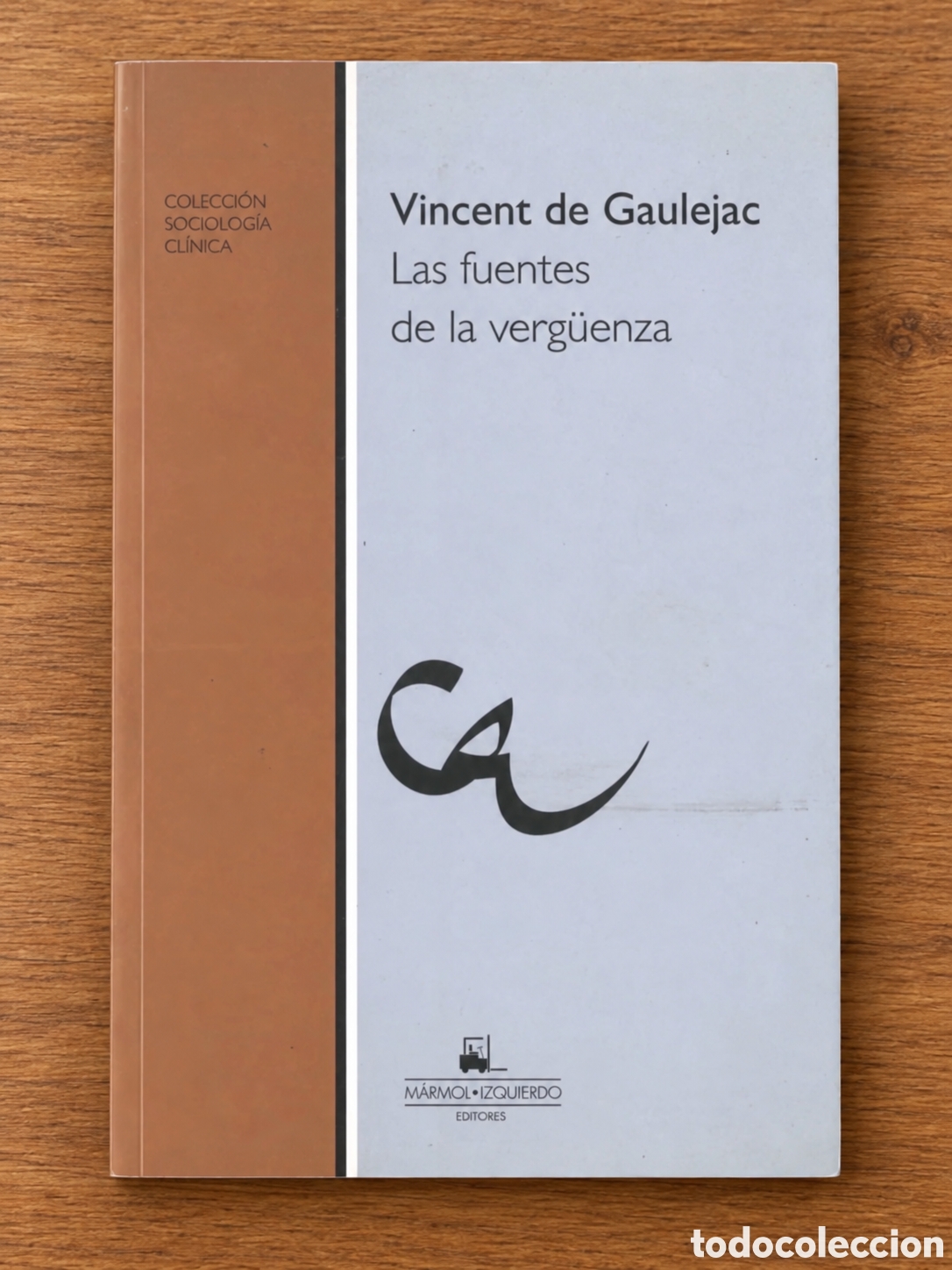 Libros: VINCENT DE GAULEJAC &ndash; LAS FUENTES DE LA VERG&Uuml;ENZA &ndash; LMD