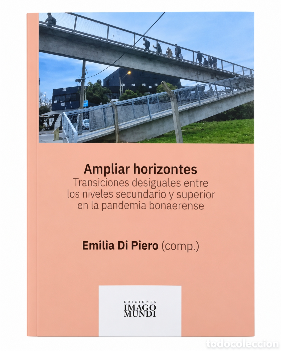 Libros: EMILIA DI PIERO &ndash; AMPLIAR HORIZONTES. TRANSICIONES DESIGUALES ENTRE LOS NIVELES SECUNDARIO... &ndash; LMD
