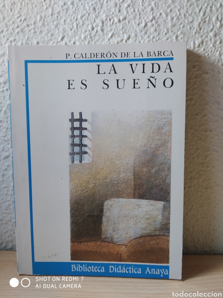 Libros: La vida es sue&ntilde;o. P. Calder&oacute;n de la Barca. Nuevo - Foto 1