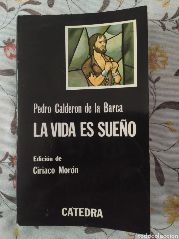 Libros: Calder&oacute;n de la Barca. La vida es sue&ntilde;o - Foto 1