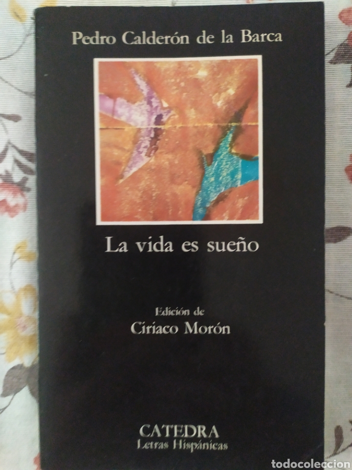 Libros: Calder&oacute;n de la Barca. La vida es sue&ntilde;o - Foto 1