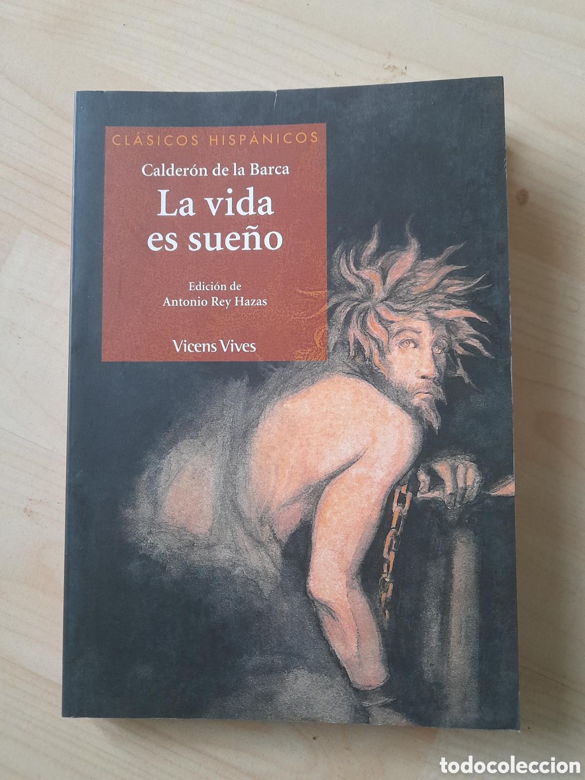 Libros: La vida es sue&ntilde;o. Calder&oacute;n de la Barca - Foto 1