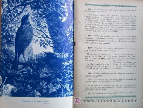 Libros de segunda mano: GRAMATICA - A&Ntilde;O 1942 - LIBRO ESCOLAR - Foto 6