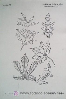 Libros de segunda mano: ELEMENTOS DE DIBUJO - A&Ntilde;O 1941 - LIBRO ESCOLAR - Foto 4