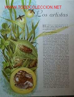Libros de segunda mano: EL MUNDO DE LOS INSECTOS - Foto 6