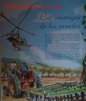 Libros de segunda mano: EL MUNDO DE LOS INSECTOS - Foto 10