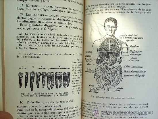 Libros de segunda mano: CIENCIAS DE LA NATURALEZA --1955-EDIT. BRU&Ntilde;O - Foto 3