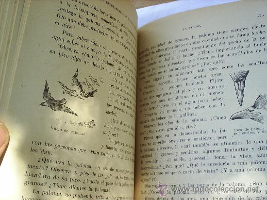 Libros de segunda mano: ESTUDIO ESPERIMENTAL ANIMALES --1941 -SEIX Y BARRAL - Foto 2