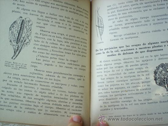 Libros de segunda mano: ESTUDIO ESPERIMENTAL ANIMALES --1941 -SEIX Y BARRAL - Foto 3