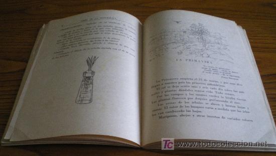 Libros de segunda mano: LIBRO DE LA NATURALEZA. PRIMER GRADO. TEIDE. A&Ntilde;O 1963 - Foto 8