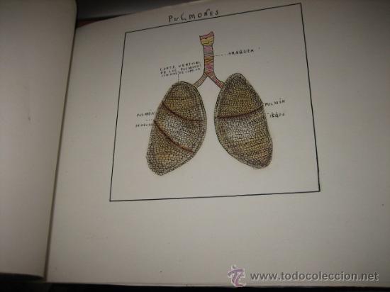 Libros de segunda mano: ANTIGUO CUADERNO  DE DIBUJP - Foto 6