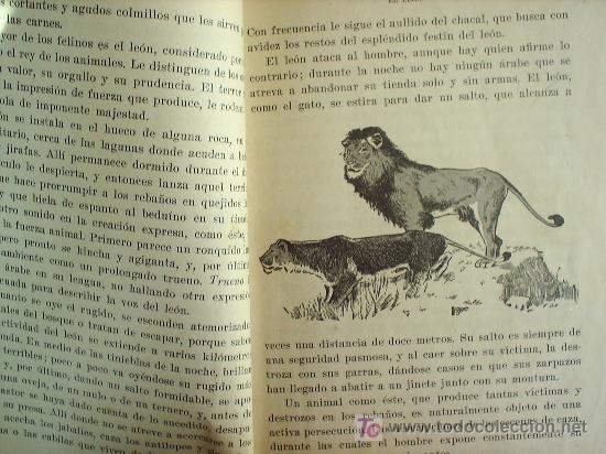Libros de segunda mano: SEGUNDO LIBRO DE LECTURA ,ESCOLAR 1954, SEIX Y BARRAL - Foto 4