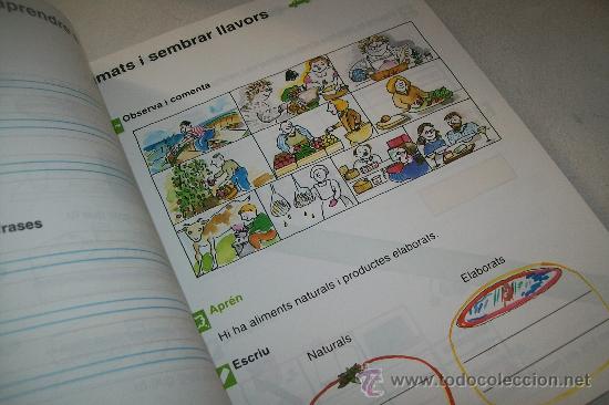 Libros de segunda mano: ANAYA, PRIM&Agrave;RIA, PRIMER CICLE.- L&acute;ARC 4-1992-V/A. - Foto 3