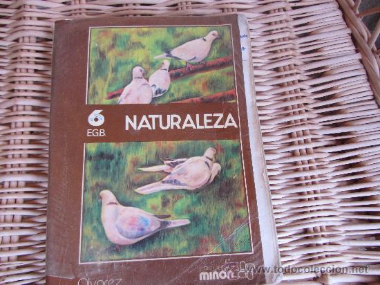 Libros de segunda mano: NATURALEZA 6 ALVAREZ - MI&Ntilde;ON - Foto 1