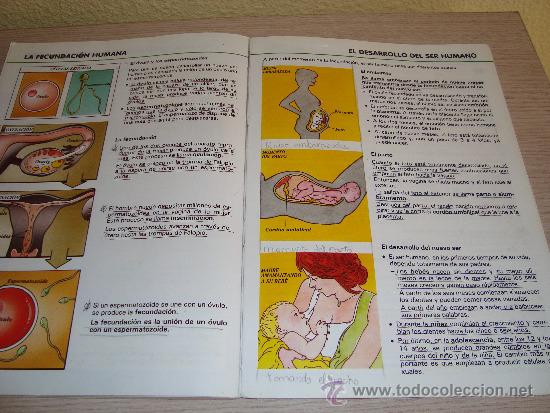 Libros de segunda mano: NATURALEZA 5 VENTANAL MANGOLD SANTILLANA 1988 - Foto 5