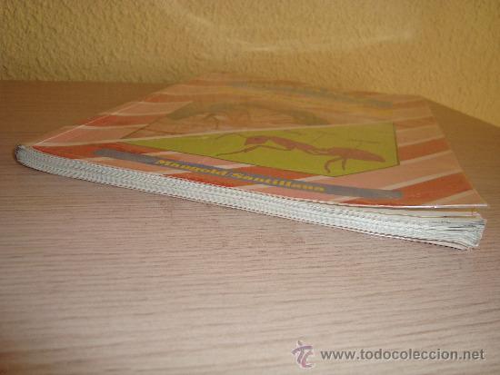 Libros de segunda mano: NATURALEZA 5 VENTANAL MANGOLD SANTILLANA 1988 - Foto 6