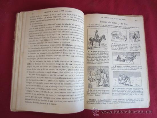 Libros de segunda mano: LECCIONES DE COSAS EN 650 GRABADOS - Foto 11