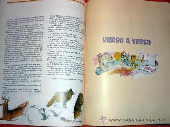 Libros de segunda mano: LECTURAS 7 EGB .EDIT EDEB&Eacute; 1989 .MUY BUENO - Foto 6