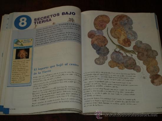Libros de segunda mano: LENGUA 3&ordm; SM. PROYECTO TROTAMUNDOS.224 PAG. - Foto 3