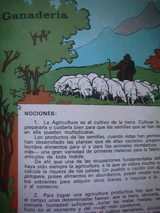Libros de segunda mano: libro escolar - Foto 4