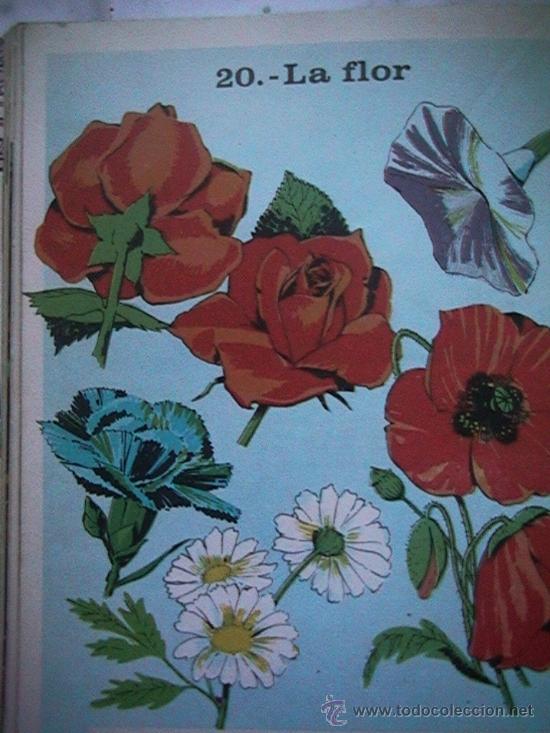 Libros de segunda mano: libro escolar - Foto 11