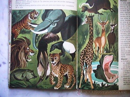 Libros de segunda mano: libro escolar - Foto 12