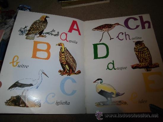 Libros de segunda mano: ABC DE LAS AVES    EDITORIAL EVEREST  LEON 1980 - Foto 3