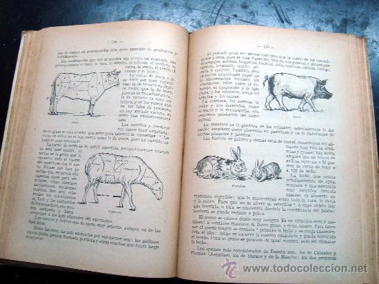 Libros de segunda mano: Libro - tesoro de conocimientos utiles - edi. Bru&ntilde;o - 1950 - Foto 7