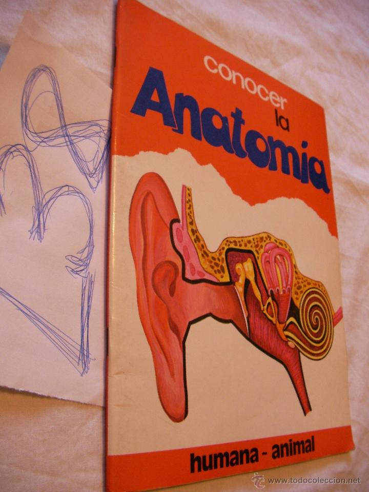 Libros de segunda mano: ANTIGUO LIBRO CONOCER LA ANATOMIA HUMANA-ANIMAL - Foto 1
