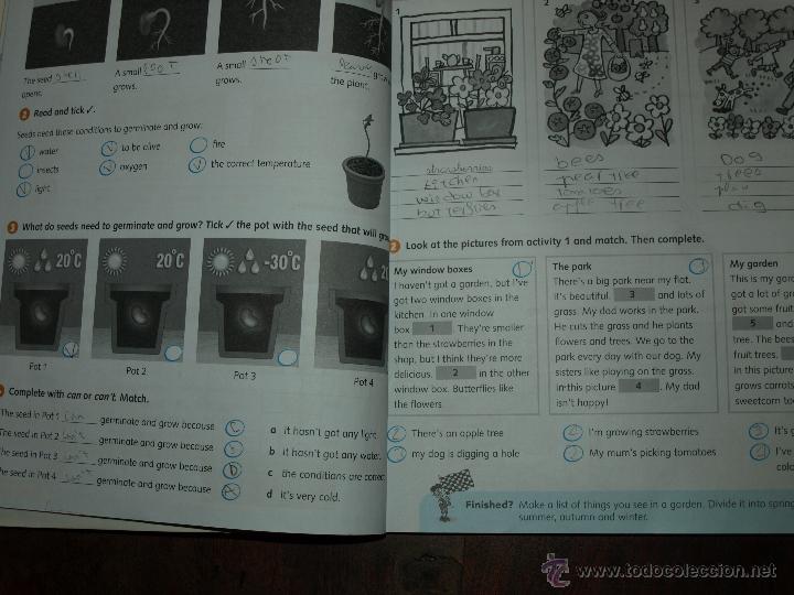Libros de segunda mano: LIBROS DE INGLES. OXFORD. EXPLORERS 6. CLASS BOOK, ACTIVITY BOOK. USADOS Y COMPLETADOS. - Foto 10
