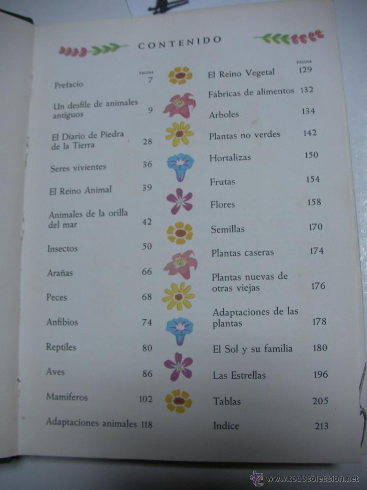 Libros de segunda mano: ANTIGUO LIBRO HISTORIA NATURAL - EL CUERPO HUMANO - Foto 2