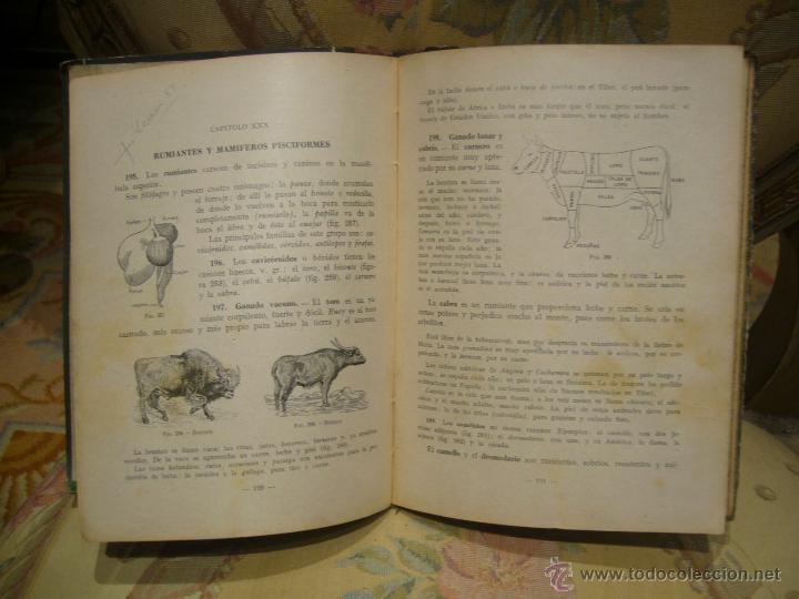 Libros de segunda mano: CIENCIAS COSMOLOGICAS SEGUNDO CURSO. LUIS VIVES, 1&ordf; EDICION 1.947. CONSERVA PROGRAMA DEL CURSO. - Foto 7