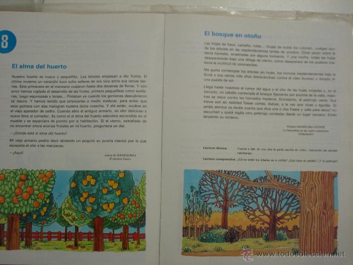 Libros de segunda mano: LIBRO TREBOL 5 EGB, EDELVIVES, 1.982 - Foto 3