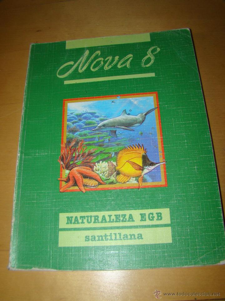 Libros de segunda mano: NATURALEZA NOVA 8 - SANTILLANA - Foto 1
