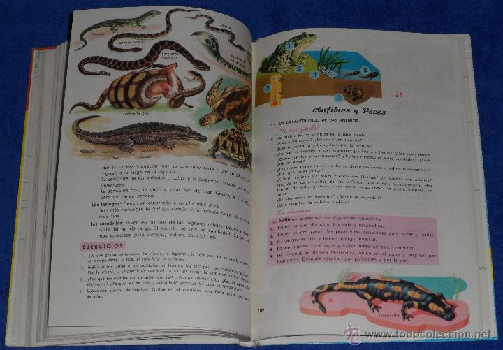 Libros de segunda mano: Ciencias de la Naturaleza - SM (1964) - Foto 8