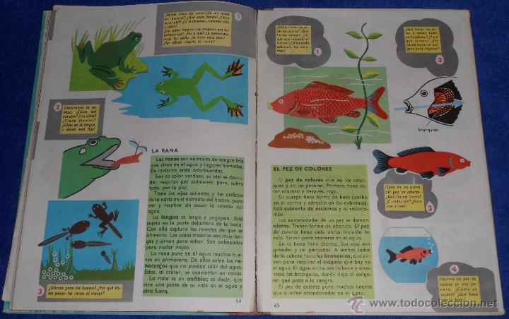 Libros de segunda mano: Observa y aprende - SM (1963) - Foto 7