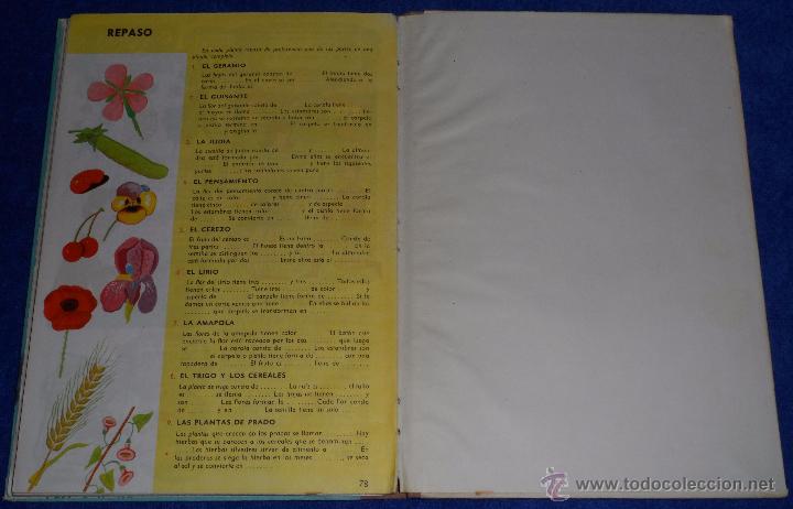 Libros de segunda mano: Observa y aprende - SM (1963) - Foto 8