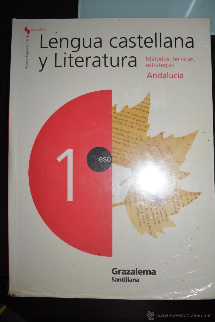 Lengua Castellana Y Literatura