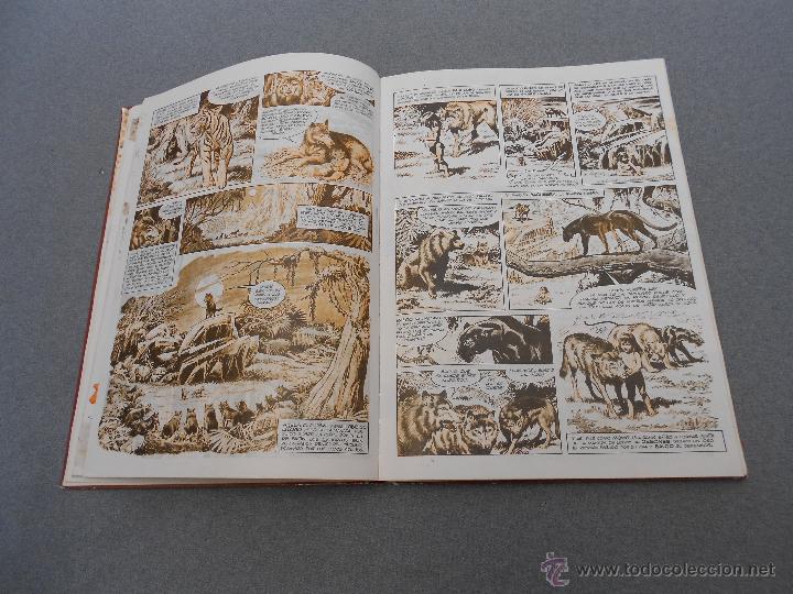 Libros de segunda mano: SENDA .LECTURA 5. E.G.B. SANTILLANA - Foto 3