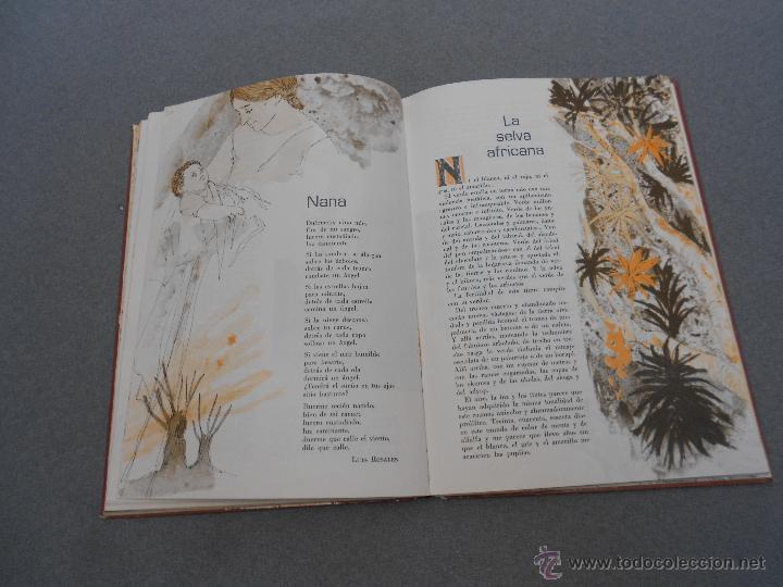 Libros de segunda mano: SENDA .LECTURA 5. E.G.B. SANTILLANA - Foto 7